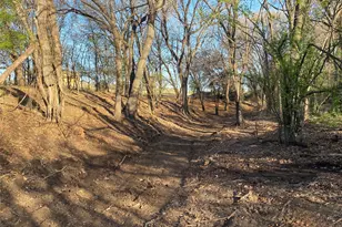 1032 Rays Way, Weatherford, TX 76085 - Photo 2