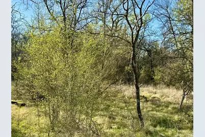 Tbd 20.02 Acres Cr 328, Dublin, TX 76446 - Photo 10