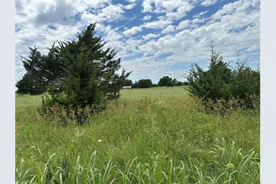 Lot 6 Lemonade Lane, Farmersville, TX 75442 - Photo 8