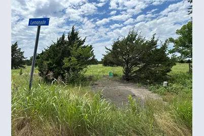 Lot 6 Lemonade Lane, Farmersville, TX 75442 - Photo 4