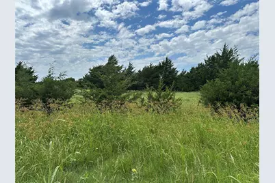 Lot 6 Lemonade Lane, Farmersville, TX 75442 - Photo 12