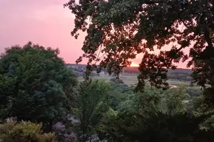 1801 Old Oak Dr, Arlington, TX 76012 - Photo 32