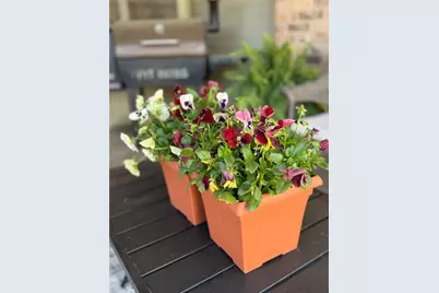 1012 Lincoln Drive, Sulphur Springs, TX 75482 - Photo 22