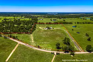 800 Vz County Road 4105, Canton, TX 75103 - Photo 6