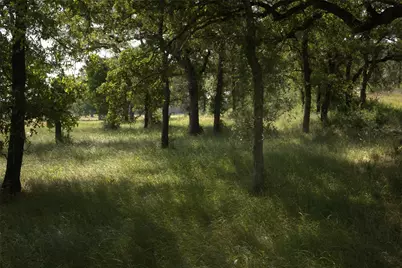 1005 Carter Lane, Santo, TX 76472 - Photo 4