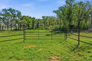 1005 Carter Ln, Santo, TX 76472 - Photo 1