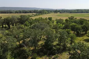 1005 Carter Ln, Santo, TX 76472 - Photo 1