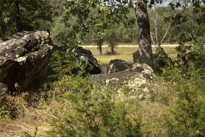 1005 Carter Lane, Santo, TX 76472 - Photo 2