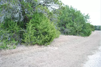 43111 Indian Blanket Drive, Whitney, TX 76692 - Photo 2