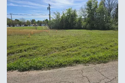 Lot 38 Loon Bay Drive, Gun Barrel City, TX 75156 - Photo 6