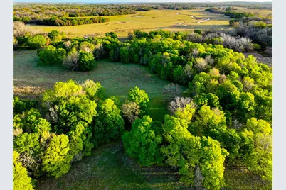 Tbd Cr 386, Marquez, TX 77865 - Photo 6