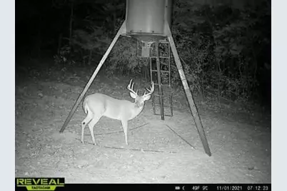 14612 County Road 1114, Athens, TX 75751 - Photo 30