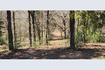 14612 County Road 1114, Athens, TX 75751 - Photo 4