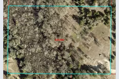 14612 County Road 1114, Athens, TX 75751 - Photo 36