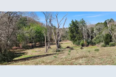 14612 County Road 1114, Athens, TX 75751 - Photo 6