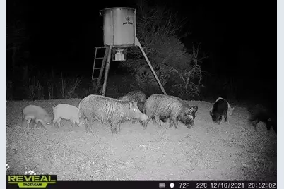 14612 County Road 1114, Athens, TX 75751 - Photo 32