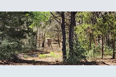 14612 County Road 1114, Athens, TX 75751 - Photo 2