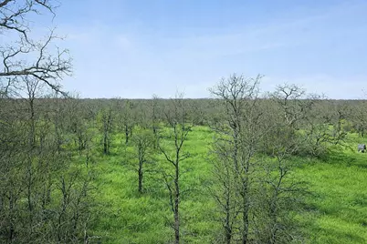 Tbd Cr-1990, Chico, TX 76431 - Photo 10