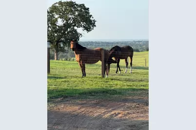 4067 County Road 414, St Jo, TX 76265 - Photo 2