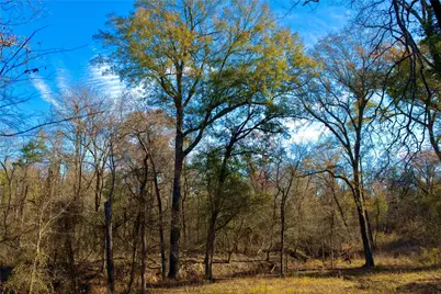 Tbd Fm 195, Arthur City, TX 75411 - Photo 8