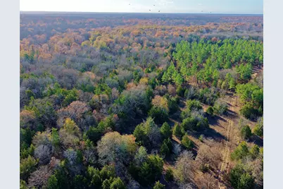 Tbd Fm 195, Arthur City, TX 75411 - Photo 2