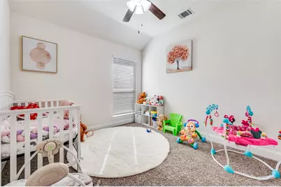 3519 Tunnel Avenue, Aubrey, TX 76227 - Photo 20