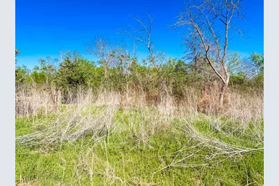 1007 S Belknap Street, Mexia, TX 76667 - Photo 4