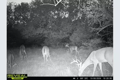 Tract 1 County Road 2935, Dodd City, TX 75438 - Photo 6