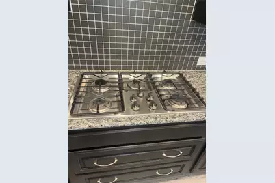 3724 Prickly Pear Road, Little Elm, TX 75068 - Photo 10