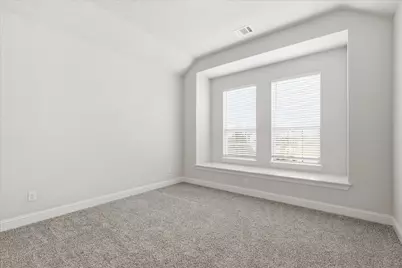 910 Cone Flower Drive, Prosper, TX 75078 - Photo 26