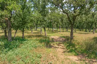 1375 Co Rd 253, Stephenville, TX 76401 - Photo 16