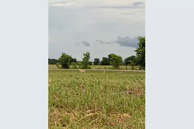 705 County Road 201, Marlin, TX 76661 - Photo 12