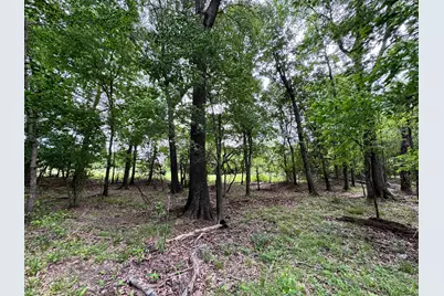 Tbd County Road 2415, Honey Grove, TX 75446 - Photo 10