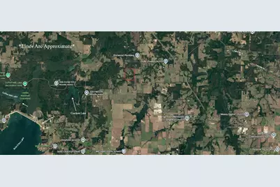 Tbd County Road 2415, Honey Grove, TX 75446 - Photo 2