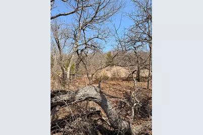 0 Silverleaf Drive, Sunset, TX 76270 - Photo 6