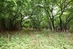 117 Buchanan Rd (Cr 661), Abilene, TX 79606 - Photo 34