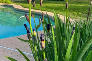 7208 Tamarack Rd, Benbrook, TX 76116 - Photo 34