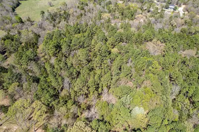 7715 State Hwy 64, Ben Wheeler, TX 75754 - Photo 32