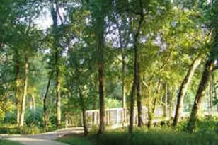 7230 Hillshire Ln, Sachse, TX 75048 - Photo 40