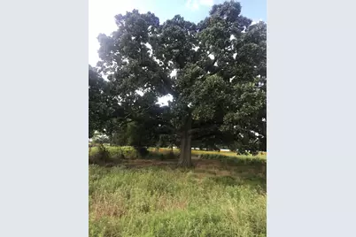 0000 Tbd I 20 Frontage, Wills Point, TX 75169 - Photo 2