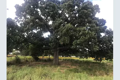 0000 Tbd I-20 Frontage, Wills Point, TX 75169 - Photo 2