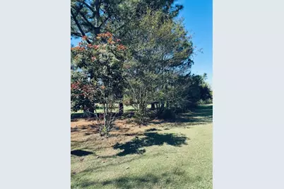 Tbd County Road 3357, Emory, TX 75440 - Photo 6