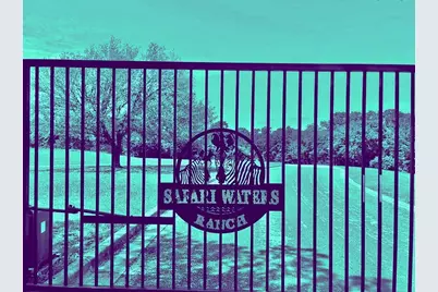 0 Fallow Run, LaRue, TX 75770 - Photo 4