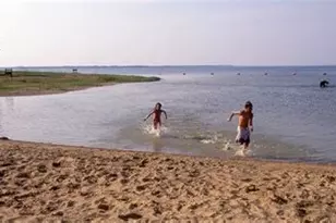 8140 Fm 513 S, Lone Oak, TX 75453 - Photo 6