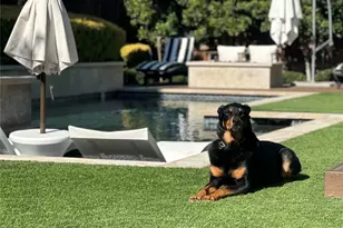 3918 Rochelle Dr, Dallas, TX 75220 - Photo 30