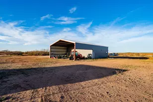 475 County Road 321 (15+- Acres), Abilene, TX 79606 - Photo 4