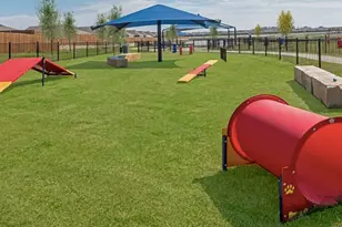 209 Boxberry Wy, Princeton, TX 75407 - Photo 26