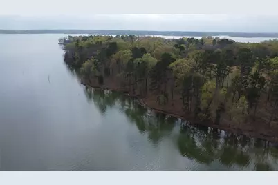 2039 C.R. 2850, Pittsburg, TX 75686 - Photo 30