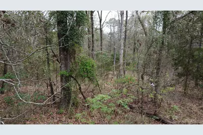 2039 C.R. 2850, Pittsburg, TX 75686 - Photo 26