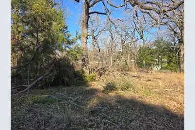 Lot 699 Shady Grove Road, Gun Barrel City, TX 75156 - Photo 1